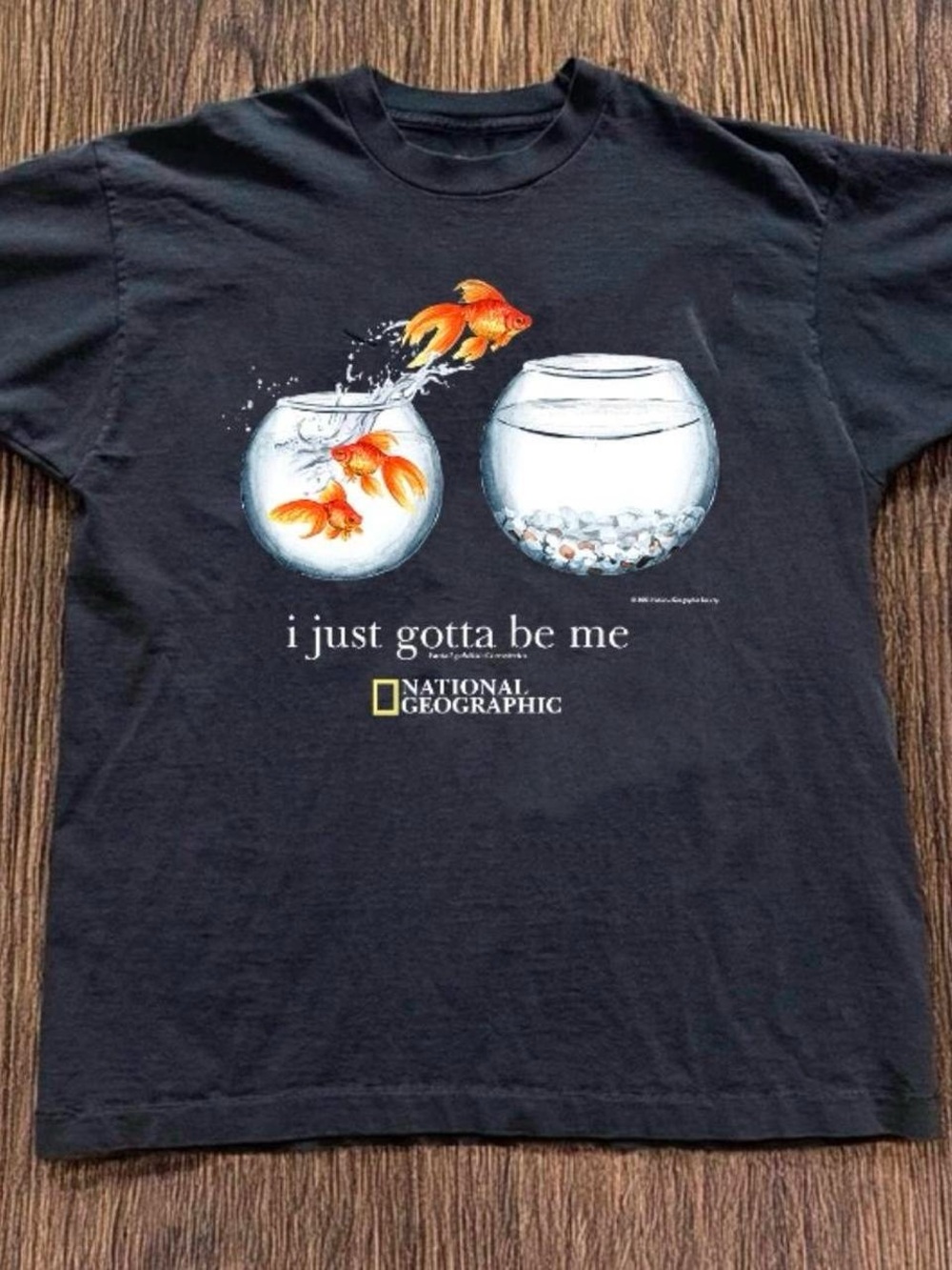 National Geographic Black T-Shirt with Orange Goldfish Graphic